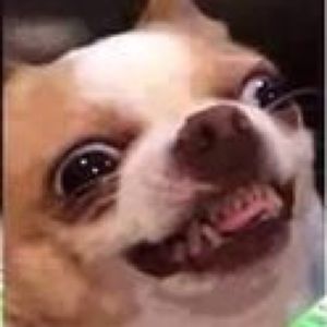 Meet your Posher, Glenn